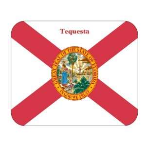  US State Flag   Tequesta, Florida (FL) Mouse Pad 