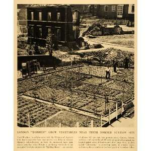 1943 Print London England Garden Vegetables Ministry Agriculture 