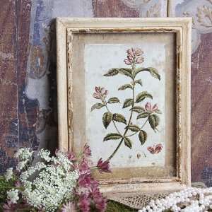  Shabby Cottage Chic Floral Print Wall Art B174