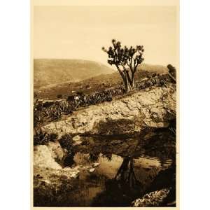 1925 Toluca Landscape Mexico Hugo Brehme Photogravure 