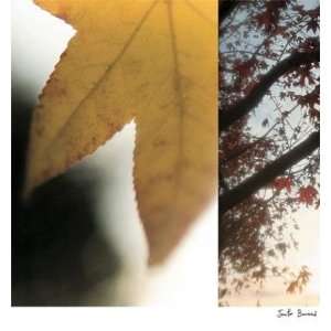  Jennifer Broussard   Autumn Leaves II Canvas
