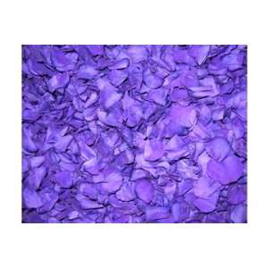  Large case 64 cups Freeze Dried Rose Petals Purple Plum 