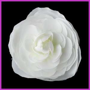  White Buttercup Style Flower Hair Clip Health & Personal 