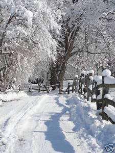 Snowy Sunny Day Country Winter Photography Fence Creek Pure Country 