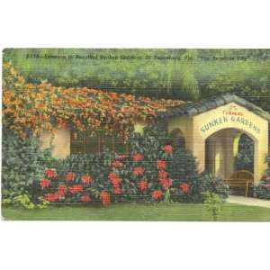   Postcard Entrance to Turners Sunken Gardens St. Petersburg Florida