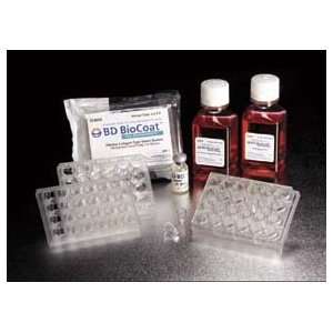 One Plate Kit For BD BioCoat HTS Caco 2 Assay Systems, BD Biosciences 