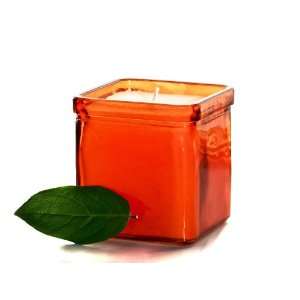  Orange Soy Cande   Recycled Glass Container