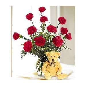  Red Carnations & Bear Baby