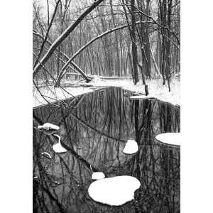  Woodland Stream in a Winter Snowstorm, Limited Edition 