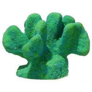  CATS PAW CORAL MED OCEAN BL