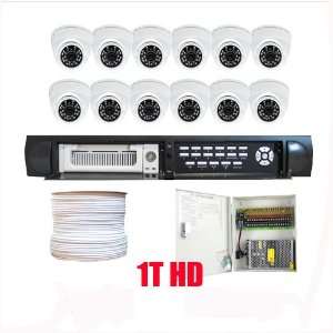  Professional 16 Channel H.264 DVR with 12 x 1/3 CCD 
