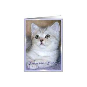  Happy 16th Birthday kitten Card Toys & Games