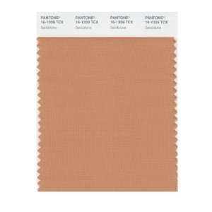  PANTONE SMART 16 1328X Color Swatch Card, Sandstone