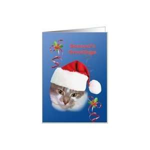  Christmas, Seasons Greetings, Cat in Santa Hat Card 
