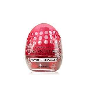  Bath and Body Works Slatkin & Co Scentegg Frosted 