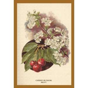  Cherry Blossom Fruit 20x30 poster