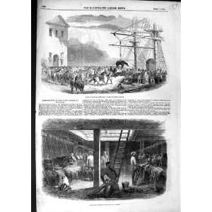   1854 EMBARKATION ARTILLERY HORSES HOLD SHIP SLINGING