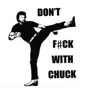 Chuck Norris karate retro funny movie t shirt all sizes  