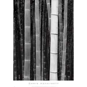  Howard Chandler Christy   Bamboo #4, Kyoto