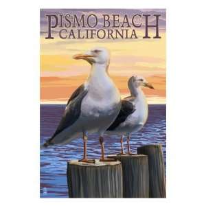 Pismo Beach, California   Sea Gulls Premium Poster Print, 18x24