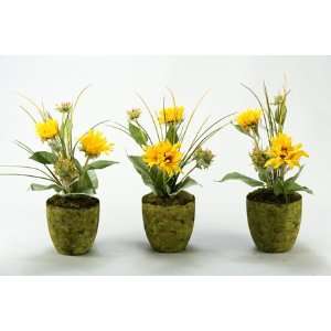  Sunflowers In Garden Pot Set OF 3 