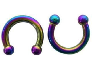   Rainbow Horseshoe Earrings (10 Gauge)   Fashion Ear Plugs Clothing