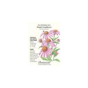   Botanical Interest   Echinacea Purple Coneflower Patio, Lawn & Garden