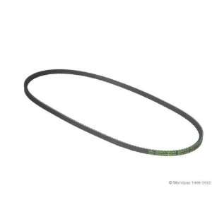  Conti W1002 33136   V Belt Automotive