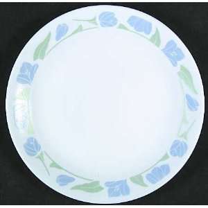  Corning Friendship Luncheon Plate, Fine China Dinnerware 