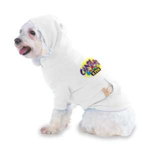 COUNSELORS R FUN Hooded (Hoody) T Shirt with pocket for your Dog or 