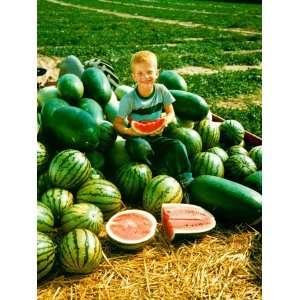  Seedless Watermelons at Purdue University Premium 