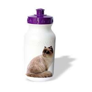  Cats   Himalayan   Water Bottles
