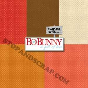  BoBunny GYPSY Double Dot Coordinating Paper Bundle 