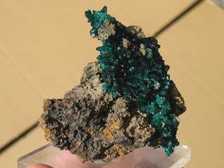 Dioptase, Sanda Mine, Congo  