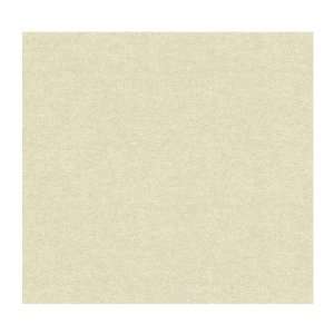  Wind River Travertine Texture Prepasted Wallpaper, Sand/Champagne