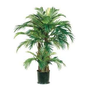  4 Phoenix Palm Tree in Round Pot Green (Pack of 2)