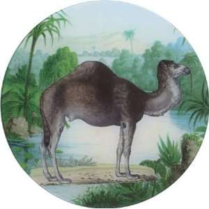  John Derian Round Plate   Camel