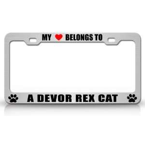  MY HEART BELONGS TO A DEVOR REX Cat Pet Auto License Plate 