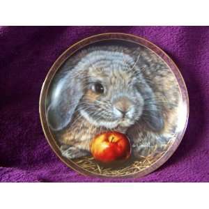 1997 Bradford Exchange Bunny Tales Collectible Plate Apple Dumplin