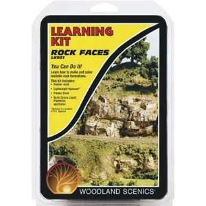  Woodland Scenics Rock Faces Learning Kit Toys & Games