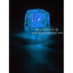  LED Ice Cube LiteCubes   Blue Light   Flashing or Steady 