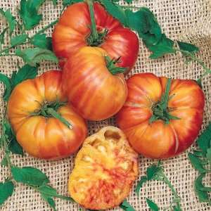   Big Rainbow Tomato   4 starter plants   Heirloom Patio, Lawn & Garden