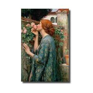 The Soul Of The Rose 1908 Giclee Print 