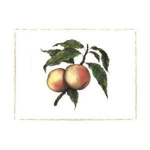  Moorpark Apricot Poster Print