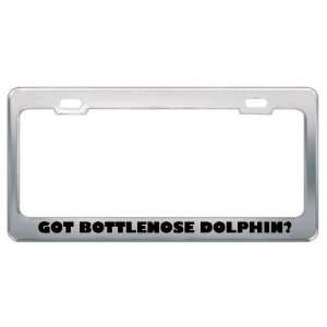 Got Bottlenose Dolphin? Animals Pets Metal License Plate Frame Holder 