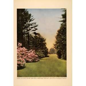  1913 Print Lawn Vista Wellesley Garden Holm Lea Sargent 