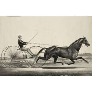   Horse Racing and Trotting George Wilkes Vintage Image