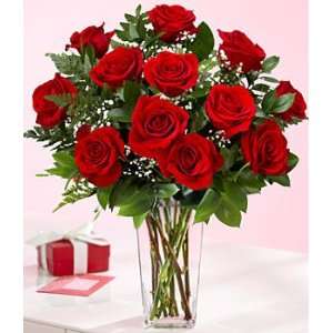  Long Stemmed Red Roses Patio, Lawn & Garden