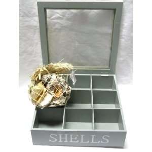   Box with Real Shells   9.875 Square and 2.875 Tall