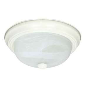   Nuvo 60/221 2 Light Textured White Close to Ceiling